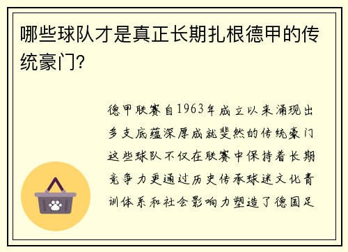 哪些球队才是真正长期扎根德甲的传统豪门？