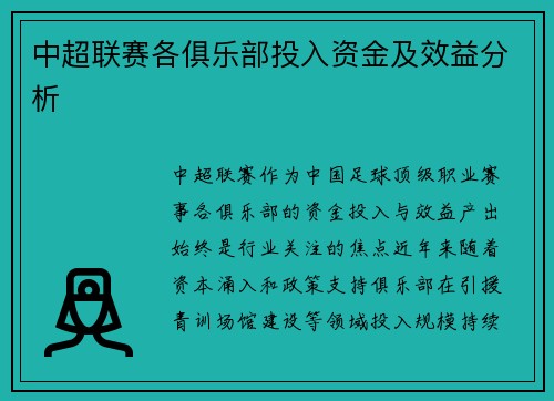 中超联赛各俱乐部投入资金及效益分析